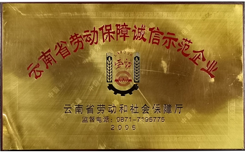 云南省勞動(dòng)保障誠信示范企業(yè)